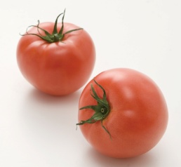 kids_tomato.jpg