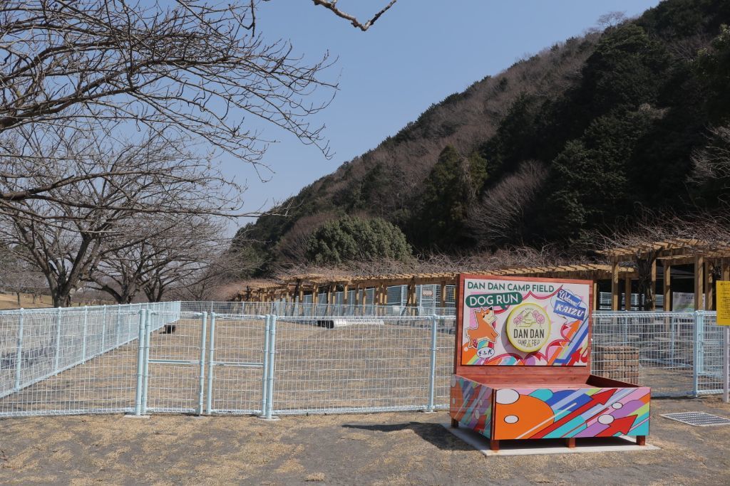 ドッグラン画像
