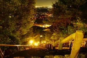 月見の森の月見台への階段の夜の風景写真
