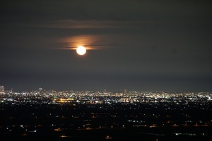 月見の森からの夜景の写真1