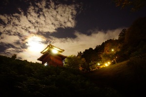 月見の森からの夜景の写真2