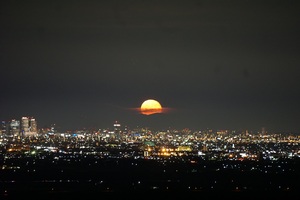 月見の森からの夜景の写真4