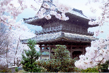 行基寺山門の写真