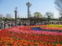 木曽三川公園の写真