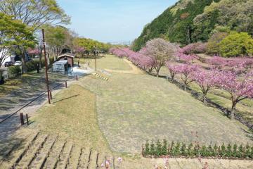 キャンプサイト1画像