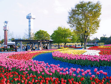 木曽三川公園センターの写真