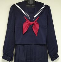 城南中学校女子生徒の制服の画像