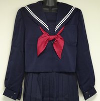 城南中学校女子生徒の制服の画像