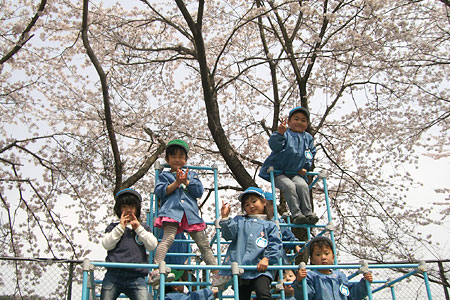 遊具で遊ぶ園児の写真