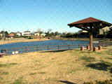 大観池公園の写真