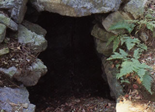 狐平古墳の写真