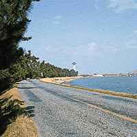 油島千本松締切堤の写真