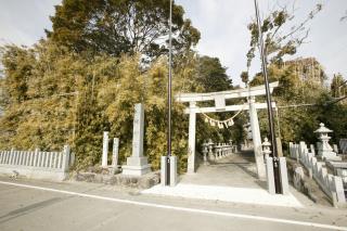 梶屋八幡神社社叢の写真