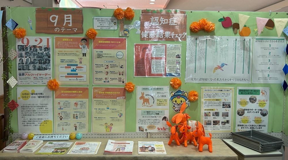 展示の様子