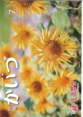 市報かいづ7月号の画像（マチイロへリンクします）