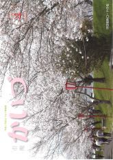 市報かいづ4月号の画像（マチイロへリンクします）