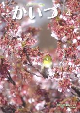 市報かいづ4月号の画像（マチイロへリンクします）