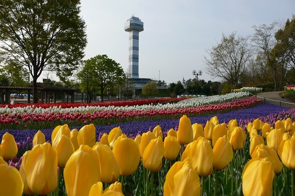 木曽三川公園の写真